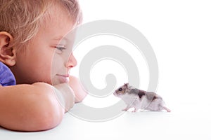 Cute child with hamster