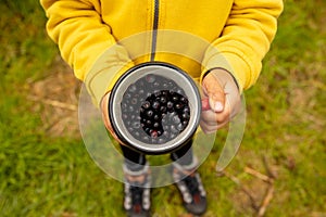 Cute child, holding mug with freshly gathered wild blueberries from the beach in Forsand, Lysebotn