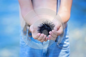 Cute child, holding sea urchin on the beach