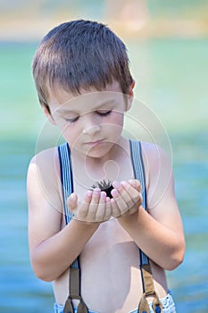 Cute child, holding sea urchin on the beach