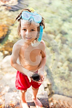 Cute child, holding sea urchin on the beach