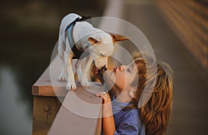 Cute child kissing puppy. Puppies dod playing.