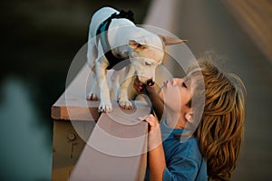 Cute child kissing puppy. Puppies dod playing.