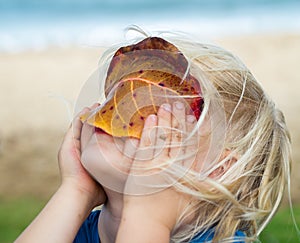 Cute child looking through a leaf