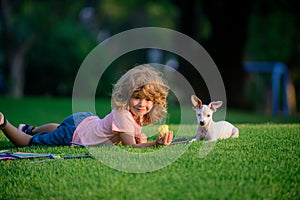 Cute child playing with chihuahua mixed dog lying on backyard lawn. Kid with pets puppys.