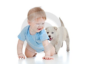 Cute child playing and crawling away a puppy, pupp