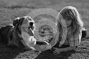 Cute child and puppy playing outside. Dog and kid playing with ball catch-up game. Boy plays on a lawn with dog. Happy