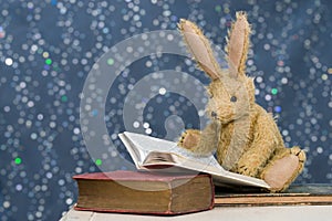 Cute child`s toy rabbit reading at story time.