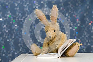Cute child`s toy rabbit reading at storytime.