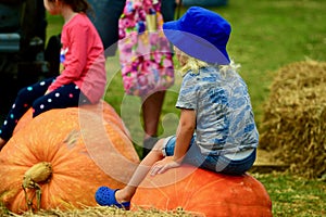 Auckland, New Zealand - Mar 2020. A cute child sitting on a giant pumpkin. Farmers market, with colourful pumpkins on display.