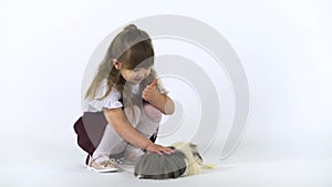 Cute child is stroking fluffy Sheltie guinea pig at white background. Happy childhood concept. Slow motion