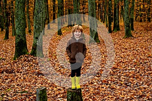 Cute child in vintage clothes on autumn leaves background. Beautiful fall time in nature.