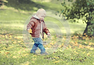 Cute child walks in autumn park