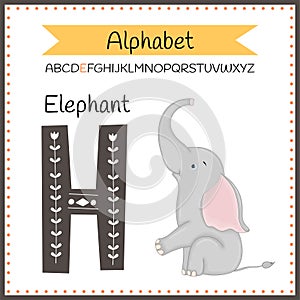 Cute children ABC animal alphabet E flashcard of Elephant for kids learning English vocabulary