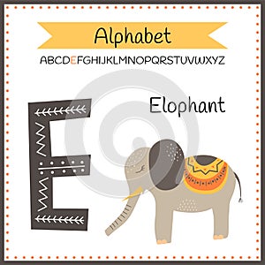 Cute children ABC animal alphabet E flashcard of Elephant for kids learning English vocabulary