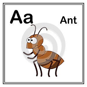 Cute children ABC animal alphabet A letter flashcard of Fire Ant for kids learning English vocabulary.