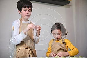 Cute children in beige chef apron, preparing dumplings during a cooking class indoors, standing against a white wall