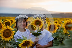 Cute children, boy brothers with sunflower in summer sunflower f