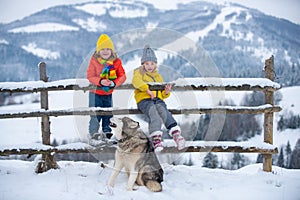Cute children boy and girl playing on a winter walk in nature. Portrait of happy little kids wearing winter clothes