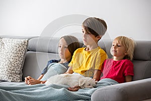 Cute children, brothers watching TV with little puppy dog, lying on the sofa with soft blanket