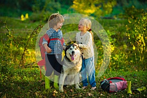 Cute children with dog walking in the field on a sunny summer day. Kids having fun dog pet in field against nature