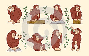 Cute chimpanzee cartoon with funny pose. Primate animal icon illustration, isolated on premium vector photo