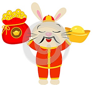 Cute chinese zodiac rabbit happy new year