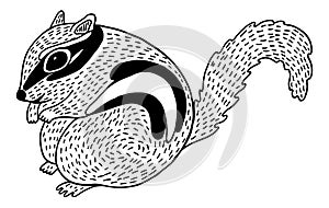 Cute chipmunk - line illustration. Black and white rodent sketch. Freehand drawing of forest animal. Gnawer doodle art. Vector photo