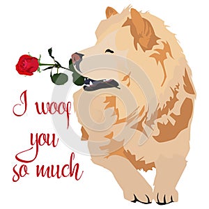 Cute Chow chow pet dog with rose flower for Valentines Day greeting card, vector