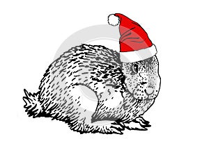 Cute Christmas bunny in Santa Claus red hat on white background, new year element,zoology