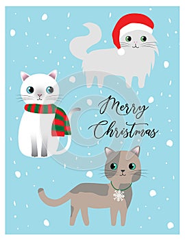 Cute cat christmas card vector image kawaii cat blue background and snow