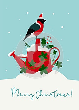 Cute Christmas card watering can with holly and ivy leaves , bullfinch