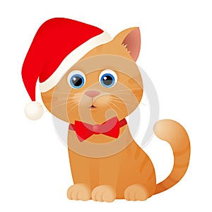 Cute christmas cat in santa hat