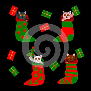 Cute christmas kittens in socks with gifts and tree