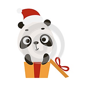 Cute Christmas panda sit in gift box on white background. Cartoon animal character for kids cards, baby shower, invitation, poster