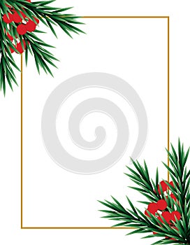 Cute christmas plants and gold border on white