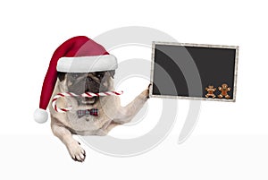 Cute Christmas pug dog with santa hat and candy cane, holding blankboard sign in paw