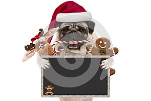 Cute Christmas pug dog with santa hat and candy cane, toys and cookies, holding up blank blackboard sign,