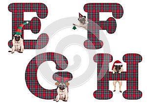 Cute Christmas pug puppy dog alphabet letters E F G H