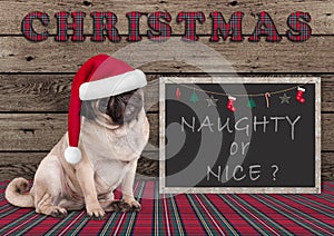 Cute Christmas pug puppy dog with santa hat and blackboard with text naughty or nice photo