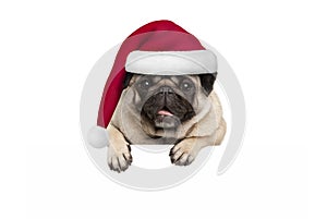 Cute Christmas pug puppy dog wearing red santa hat hanging with paws on blank white banner