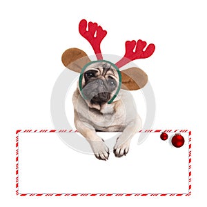 Cute christmas pug puppy dog wearing reindeer antlers and hanging on blank sign on white background