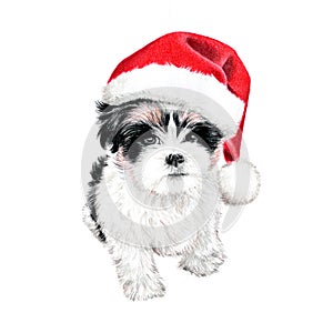 Cute Christmas puppy dog with santa hat illustration. hand drawn colored pencil art