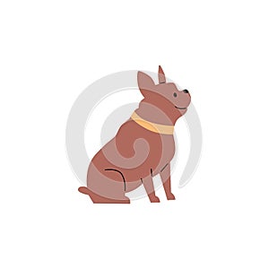 Cute chubby dog cartoon character, flat vector illustration isolated on white.