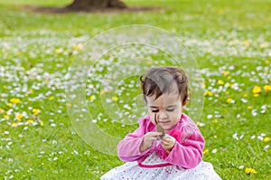 Cute chubby toddler looking at a leaf curiously exploring nature outdoors in the park