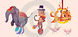 Cute circus animals, elephant, monkey and tiger