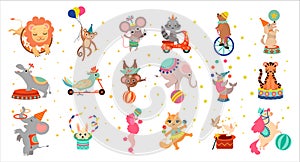 Cute circus animals performing tricks set. Funny baby lion, monkey, mouse, raccoon, elephant, tiger performing at circus