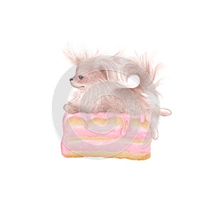 Cute clipart hand drawn illustration. Pomeranian spitz puppy lying on a piece of cake. Logo design