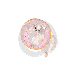 Cute clipart hand drawn illustration. Pomeranian spitz puppy swimming on water donut ring