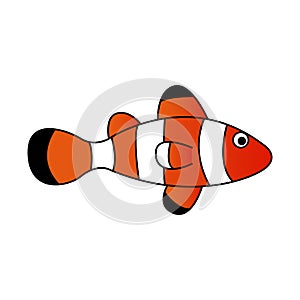 Cute of clown fish on cartoon version